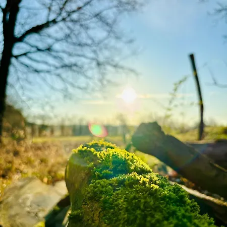 #bauernhofvilla Nur Für Frauen Apartment Niemegk (Brandenburg)