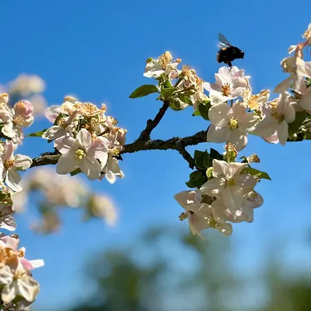 #bauernhofvilla Nur Für Frauen *