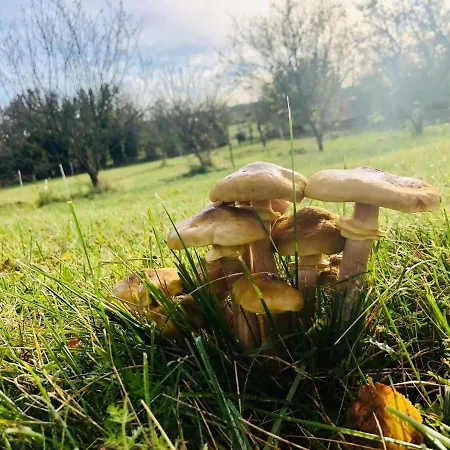 Apartment #bauernhofvilla Nur Fuer Frauen Niemegk (Brandenburg)