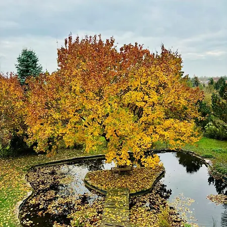 #bauernhofvilla Nur Für Frauen Niemegk (Brandenburg)
