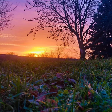 #bauernhofvilla Nur Für Frauen
