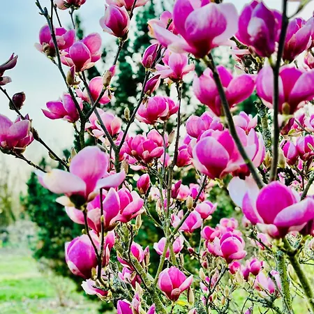 #bauernhofvilla Nur Fuer Frauen Apartment *