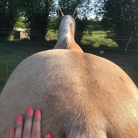 #bauernhofvilla Nur Fuer Frauen *