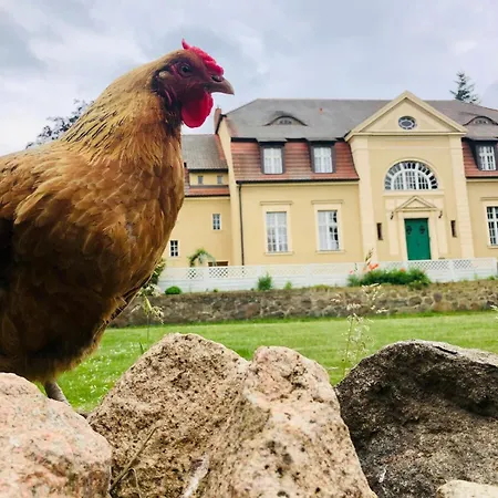 Apartment #bauernhofvilla Nur Fuer Frauen