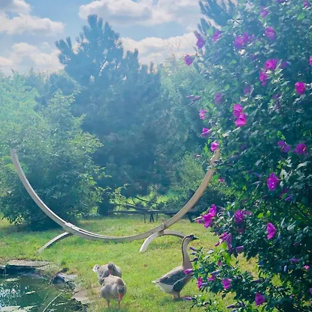 #bauernhofvilla Nur Für Frauen Apartment *