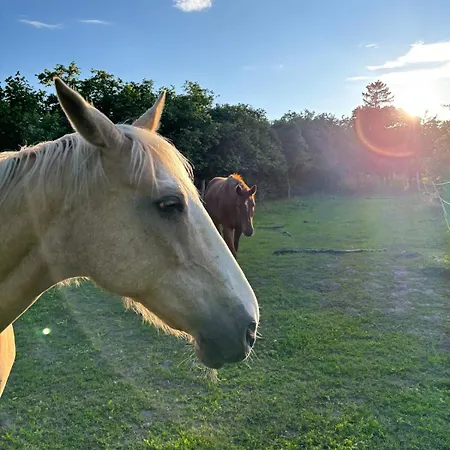 #bauernhofvilla Nur Für Frauen Apartment *