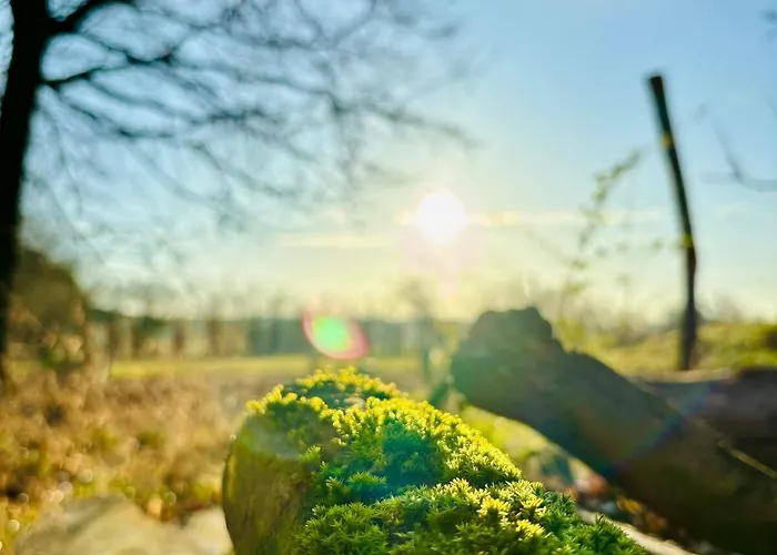 Bauernhofvilla Nur Fuer Frauen Woman Only Apartman Niemegk