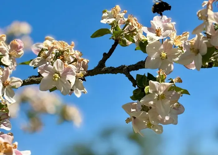 #bauernhofvilla Nur Fuer Frauen *