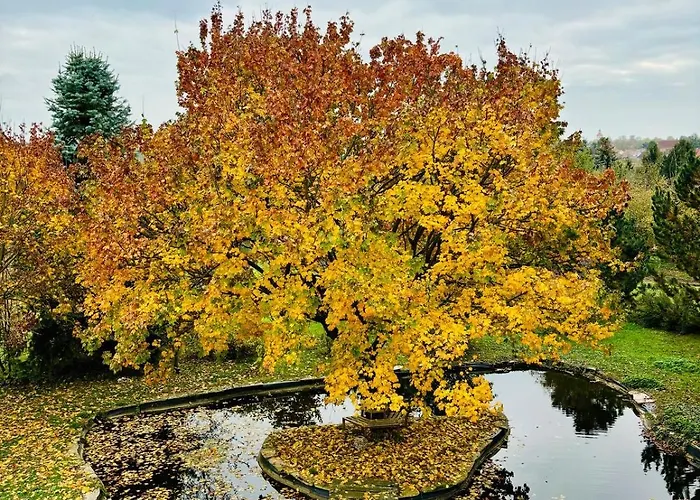 Bauernhofvilla Nur Fuer Frauen Woman Only Niemegk