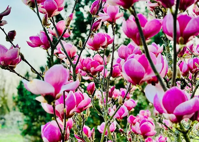 Bauernhofvilla Nur Fuer Frauen Woman Only Apartman *