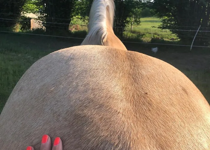 #bauernhofvilla Nur Fuer Frauen *