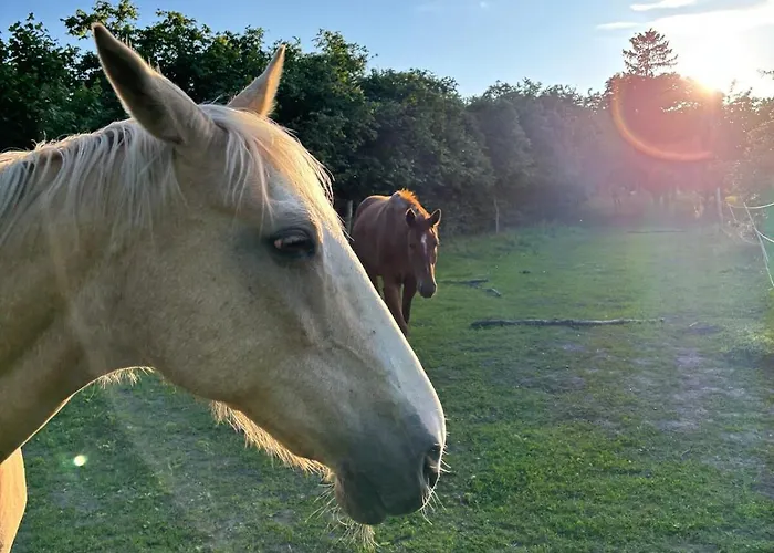 #bauernhofvilla Nur Fuer Frauen Apartament *